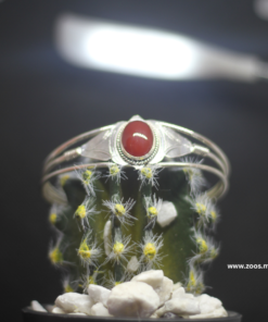 Exquisite Red Jewelry Set: A Timeless Expression of Moroccan Craftsmanship