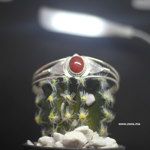 Exquisite Red Jewelry Set: A Timeless Expression of Moroccan Craftsmanship